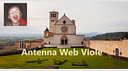 Antenna Web Viole